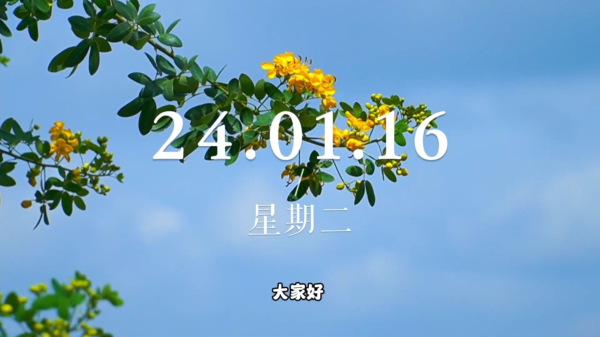 1月16日星期二