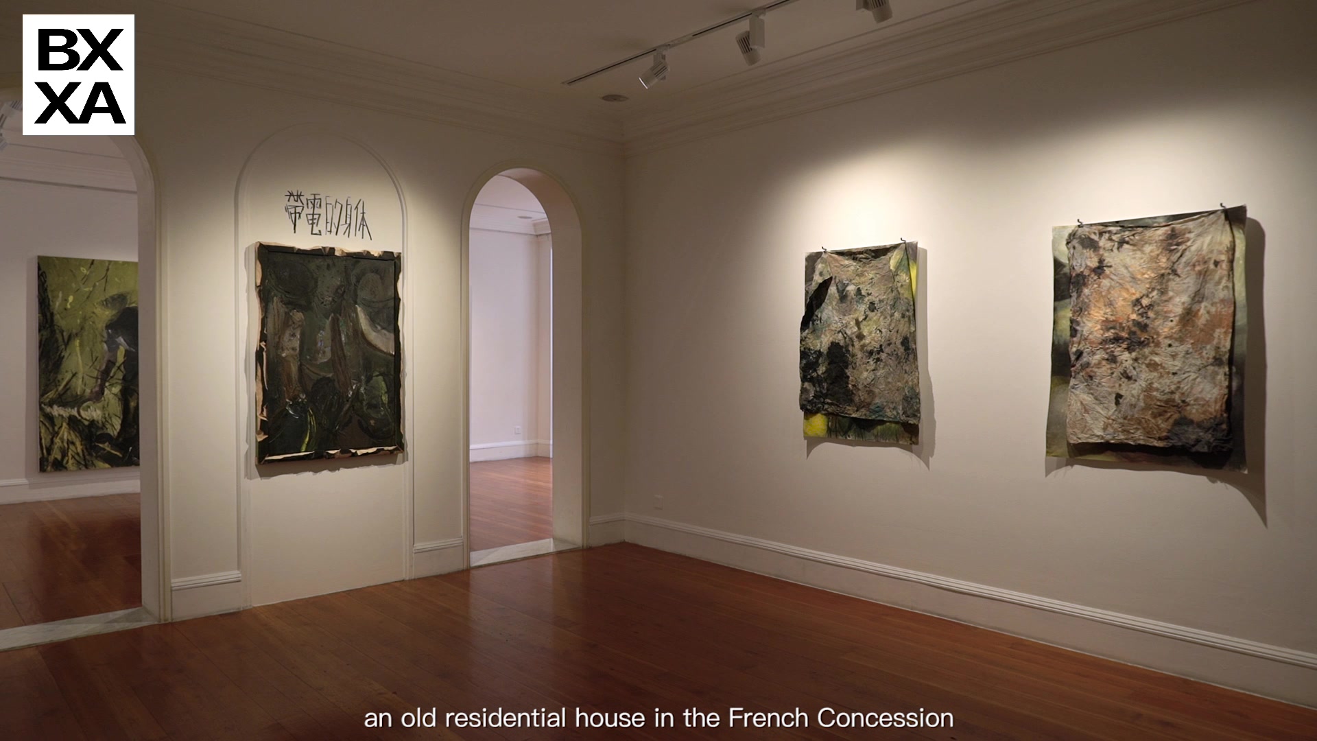 狮语画廊_带电的身体