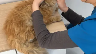 剩下的交给时间