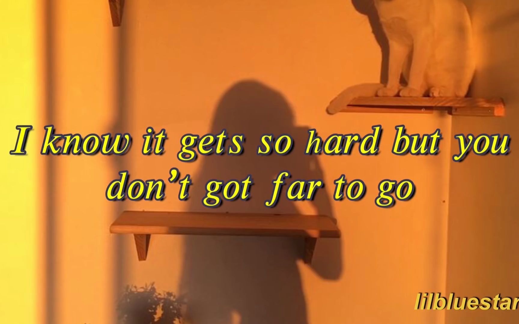 keep your head up princess【官方mv】