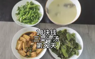 Descargar video: 10块钱做三菜一汤的第32天