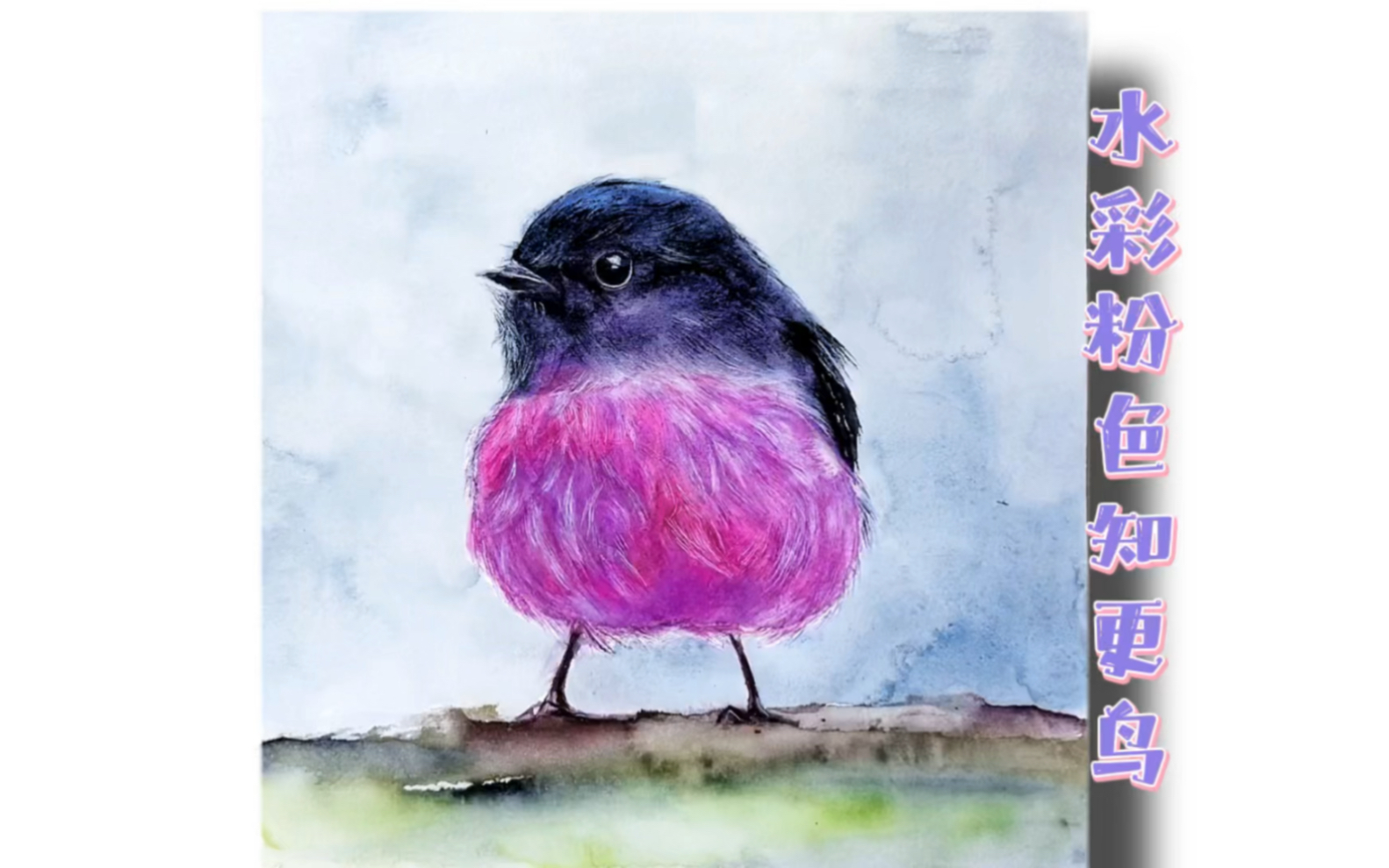 水彩粉色知更鸟画法讲解-昱里的水彩笔记58