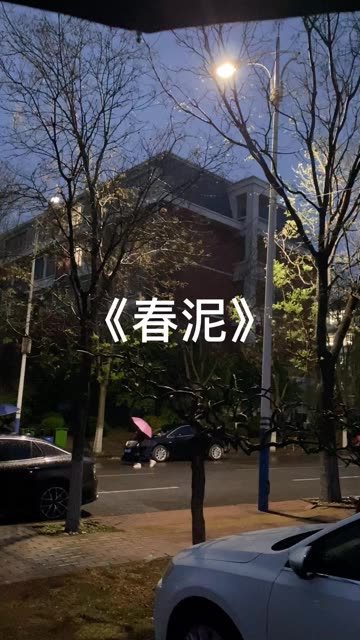 今天下雨了.哔哩哔哩bilibili