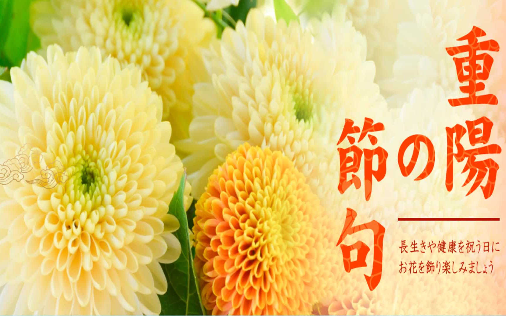 【節句】j04.日本人过重阳节