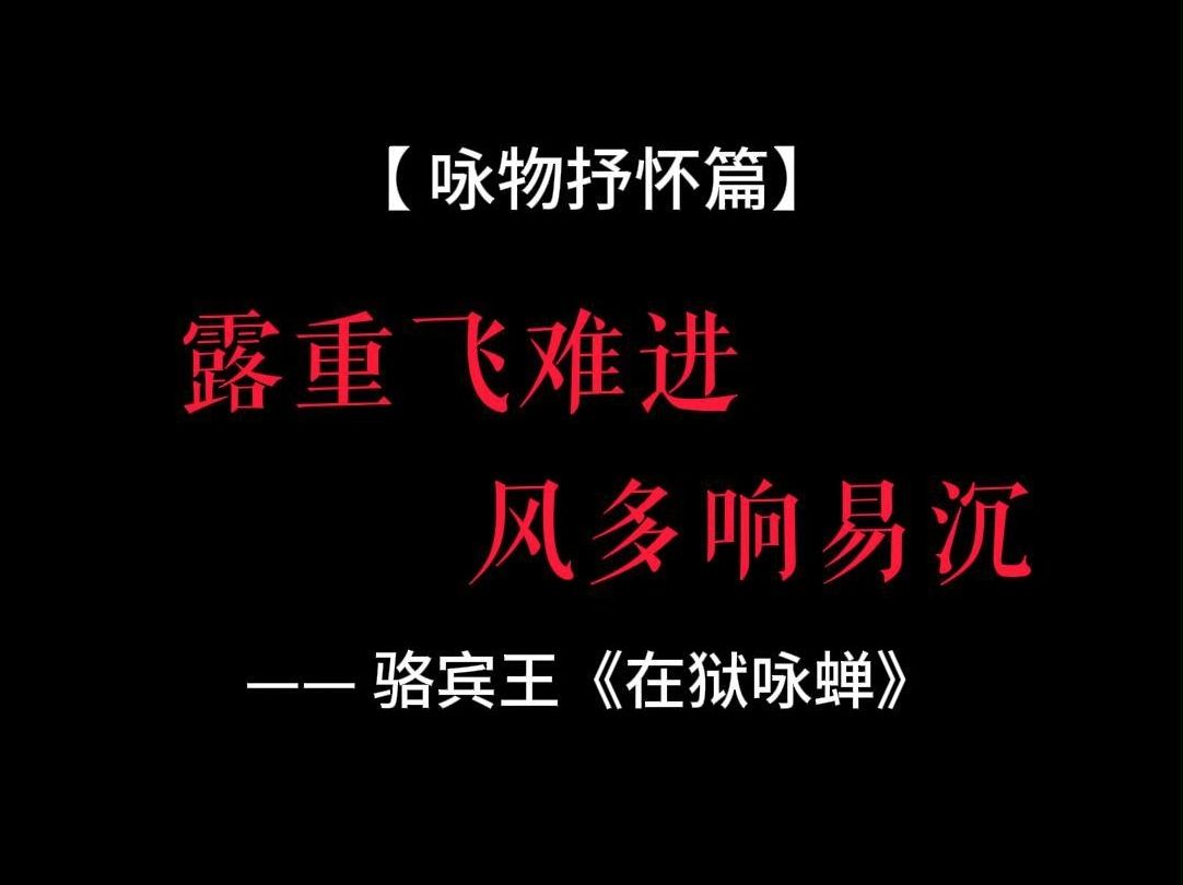 【一诗一画】骆宾王《在狱咏蝉》哔哩哔哩bilibili