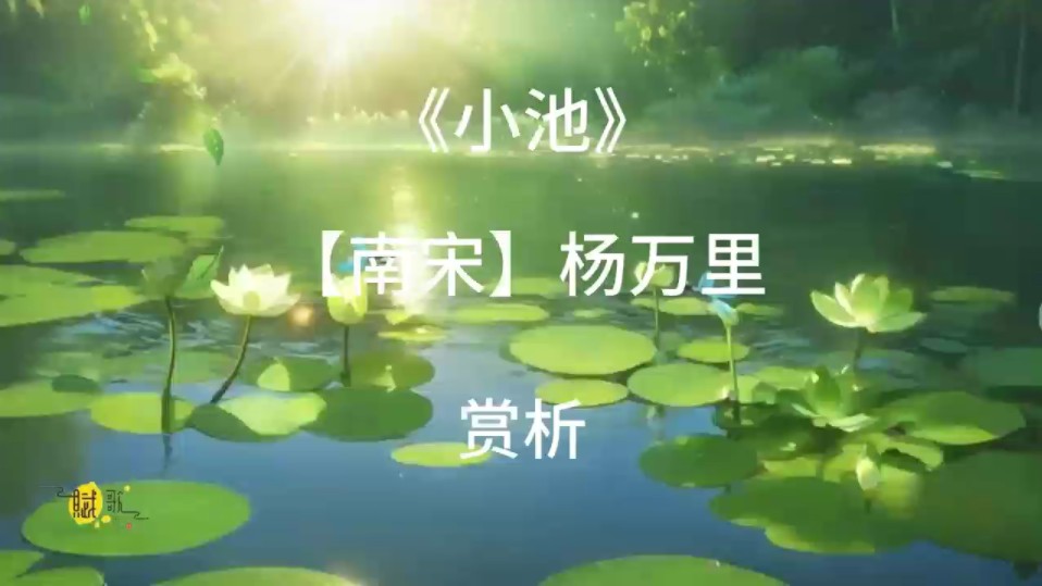 古诗词《小池》杨万里