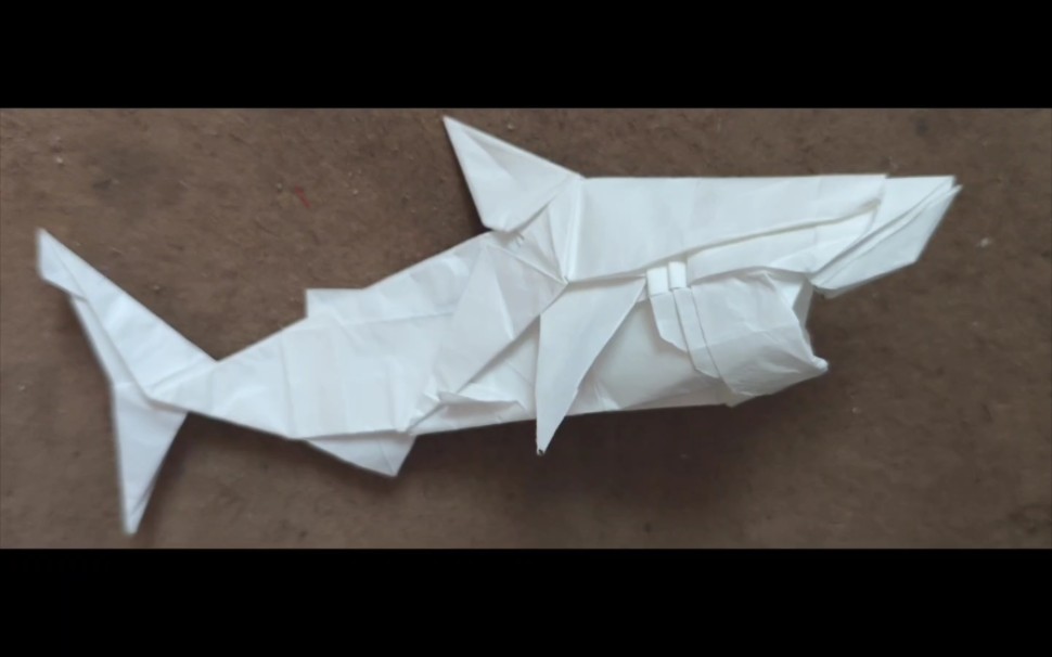 折纸大白鲨展示