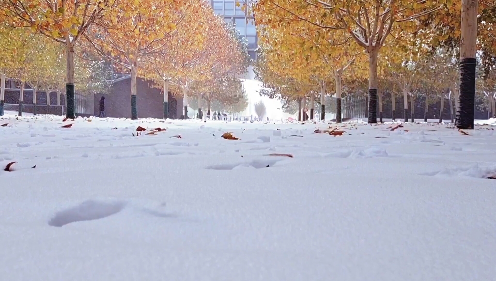 [图]十一月的大雪纷飞