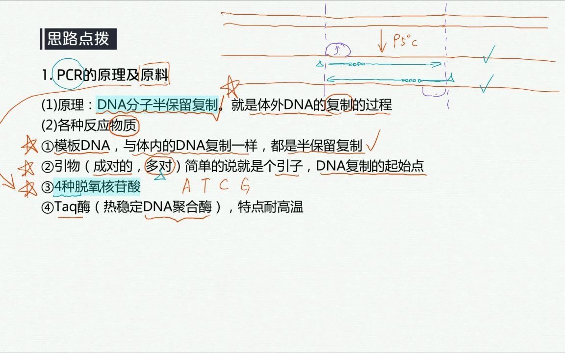 PCR的原理和原料哔哩哔哩bilibili