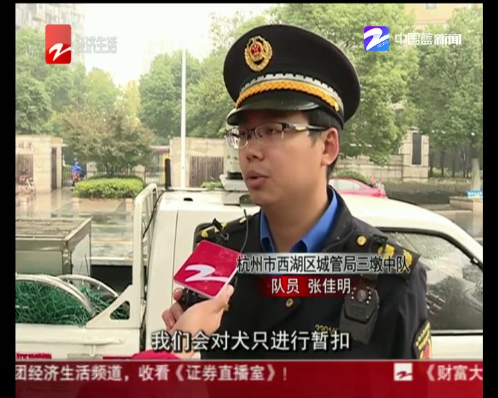 杭州犬类专项整治第一天 白天几乎无人遛狗