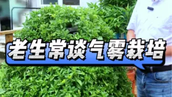 极端天气越来许多，土壤种植难度越来越大，怎么不知道气雾栽培呢？#智慧农业 #我的小菜园 #新农人计划2023