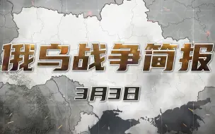 Video herunterladen: 3月3日俄乌局势梳理