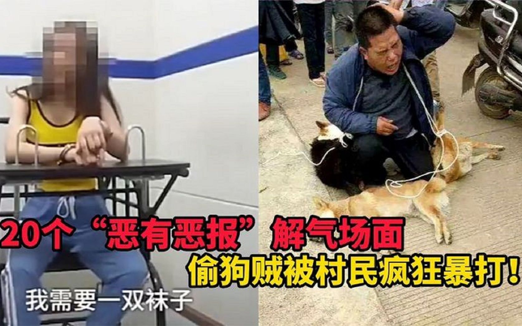 [图]偷狗贼被全村人当场抓获后，下场一个比一个惨，盘点偷狗贼被抓