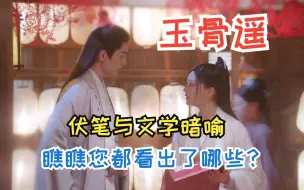 Download Video: 【玉骨遥*伏笔和文学暗喻】瞧瞧您看出来了哪些文学暗喻！