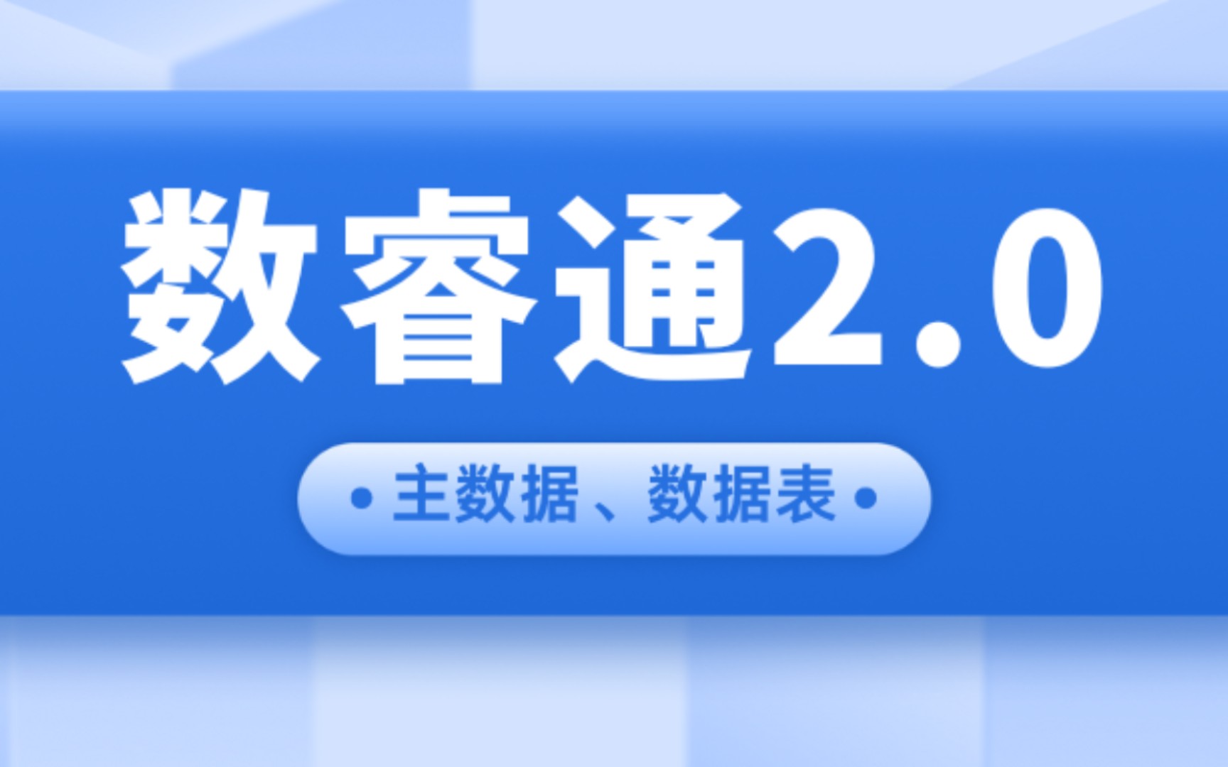 数睿通2.0:高效的数据处理,主数据与数据表功能全面升级哔哩哔哩bilibili