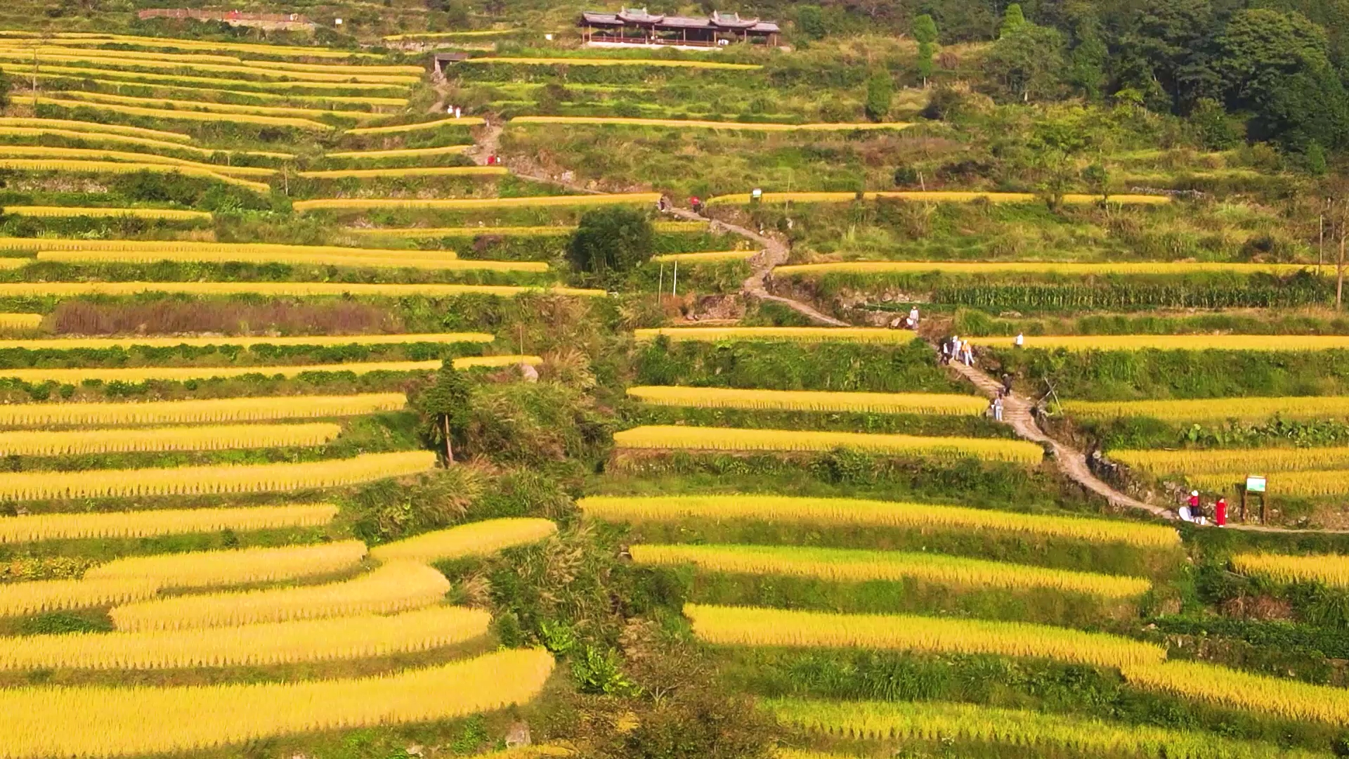 无人机aⅰr2航拍浙江省天台县泳溪乡北山村秋色
