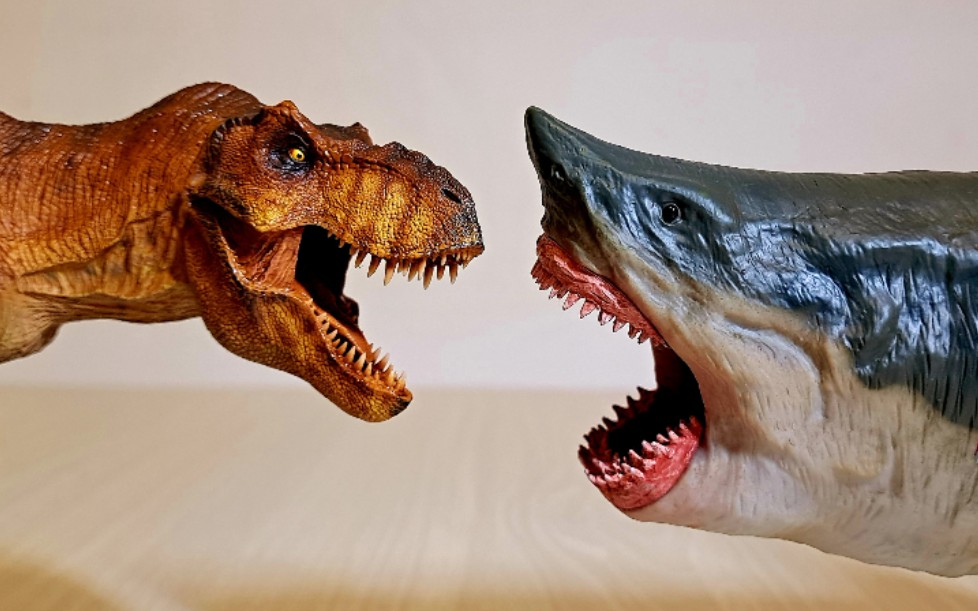 霸王龙会巨齿鲨_哔哩哔哩_bilibili