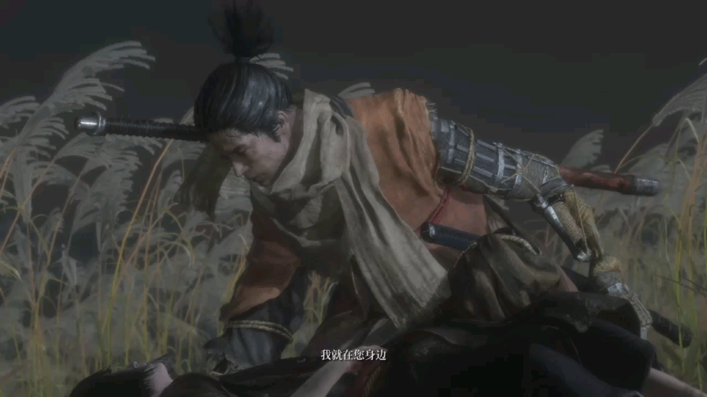 只狼一周目全收集全剧情通关所有的结局中这应该是狼心目中最想要的