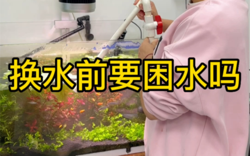 鱼友们你们给鱼儿换水的时候,是否提前困水呢?