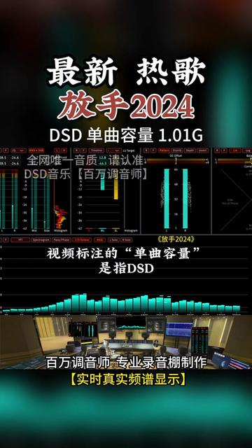 新歌分享,伤感热歌,原人原唱,《放手2024》DSD完整版 1.01G,百万调音师专业录音棚制作,顶级hifi无损音质哔哩哔哩bilibili