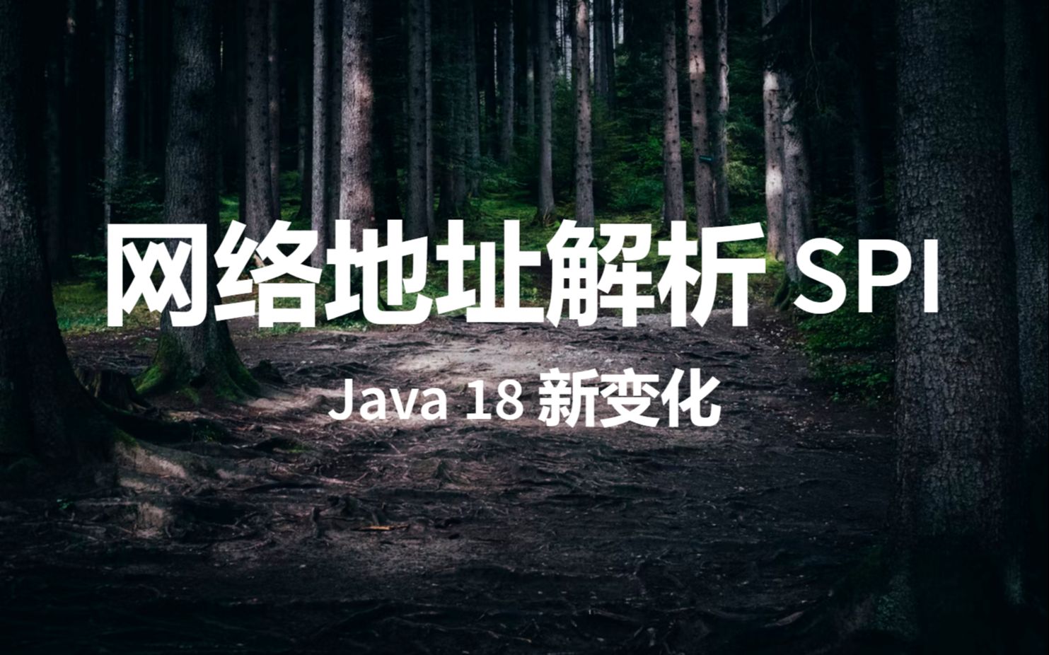 【Java 18】网络地址解析 SPI哔哩哔哩bilibili