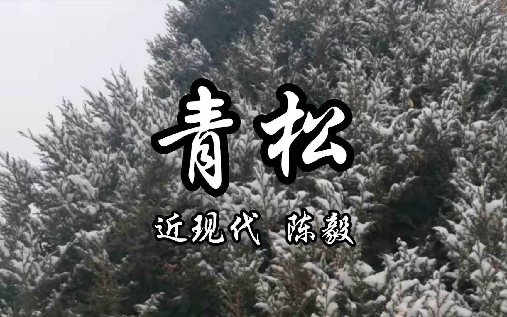 [图]读给你听《青松》近现代 陈毅