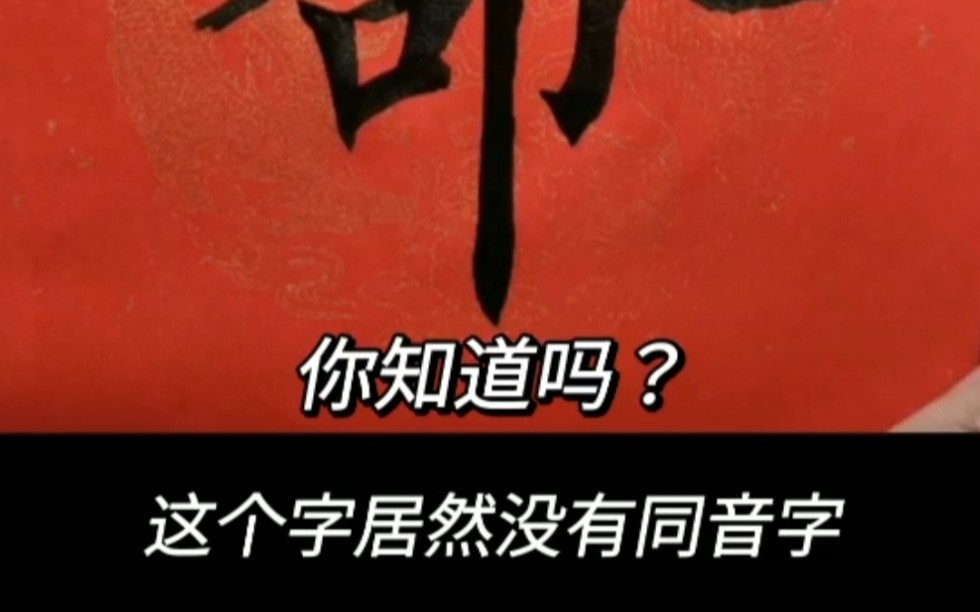 你知道吗?这个字竟然没有同音字!说明什么呢?哔哩哔哩bilibili