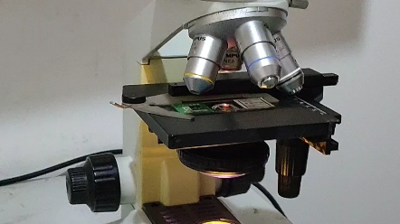 奥林巴斯ch20显微镜