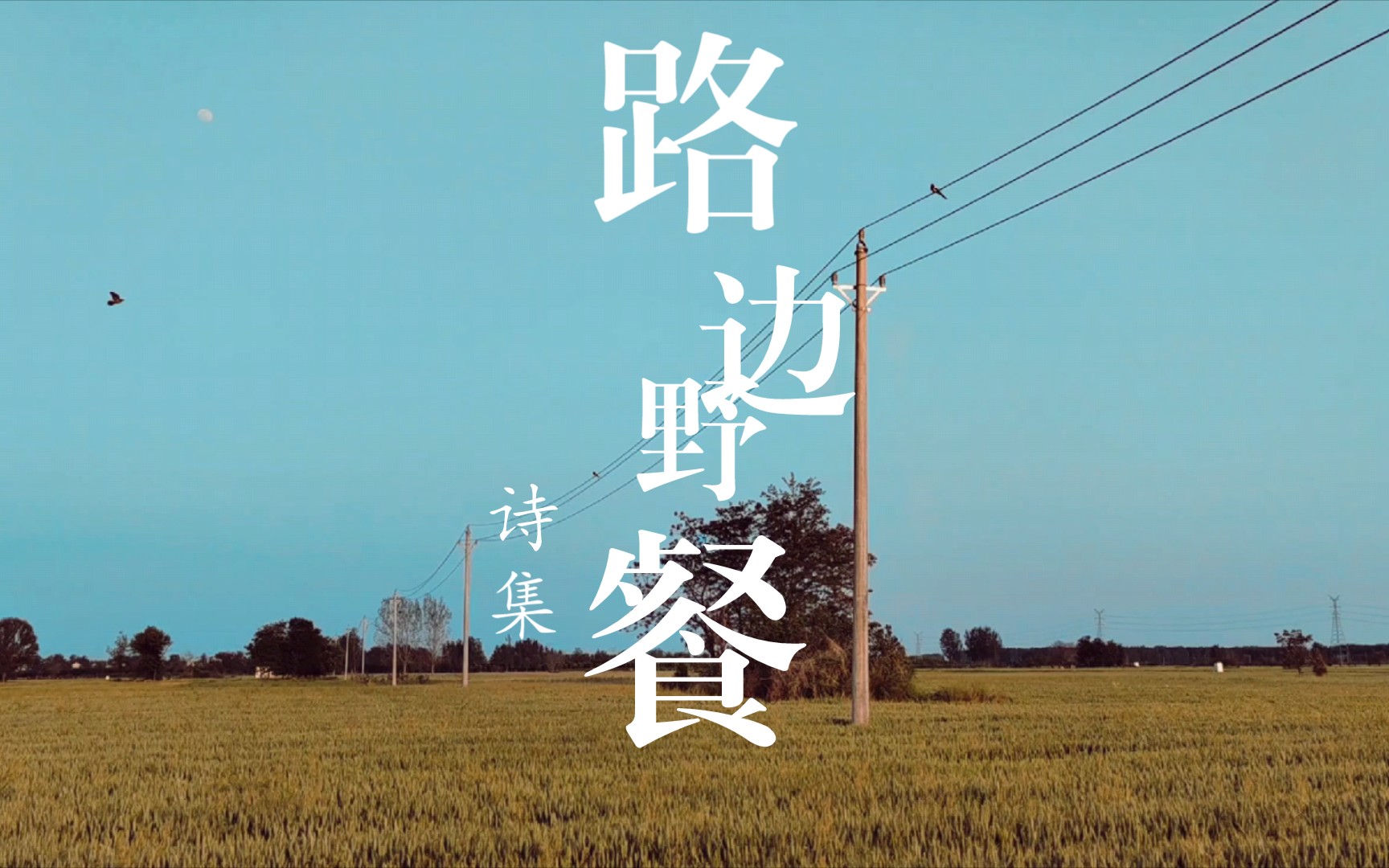 路边野餐诗集(六)