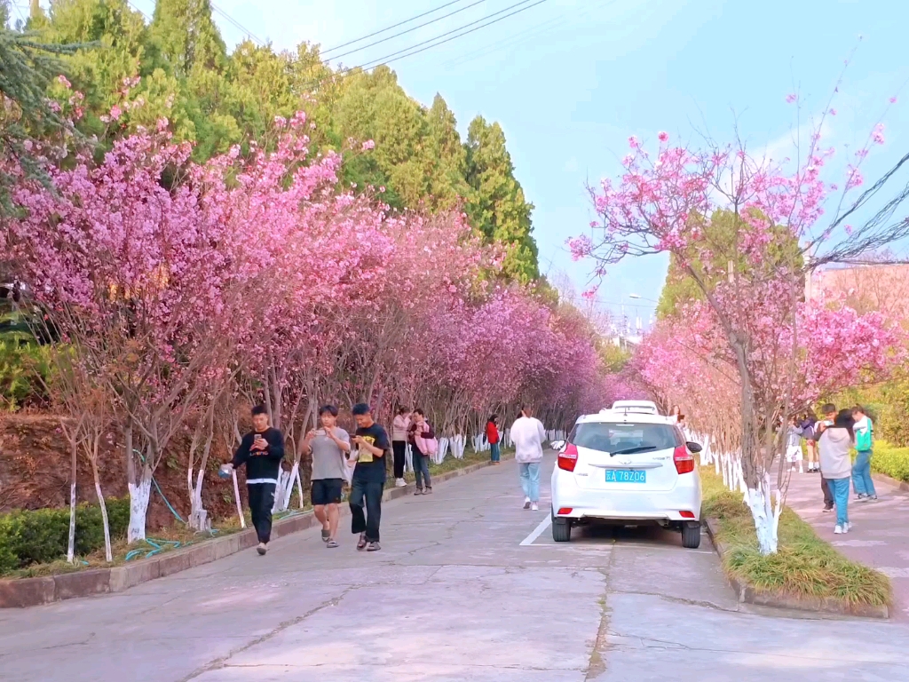 楚雄师范学院雁塔校区图片