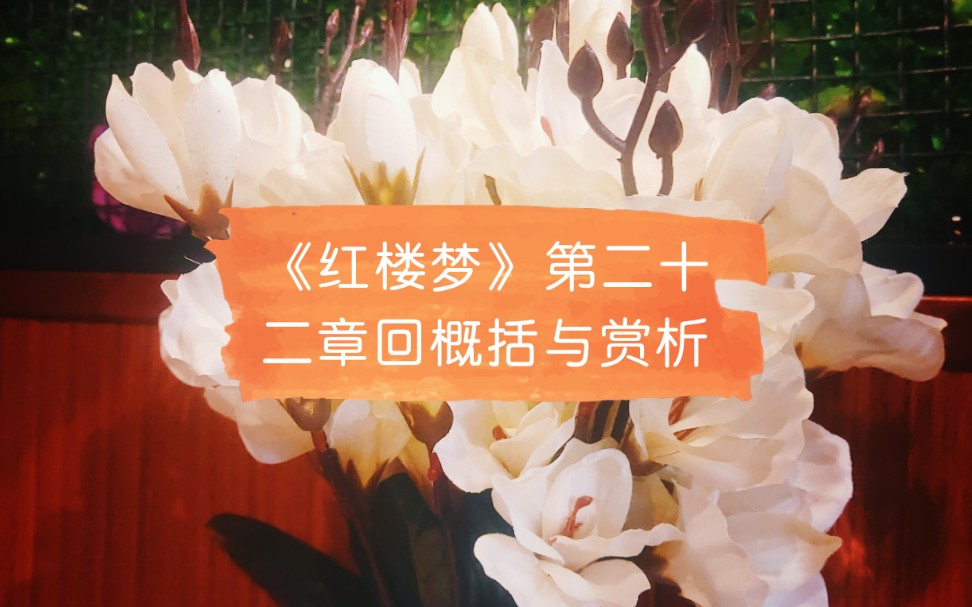 红楼梦第二十二章回概括与赏析