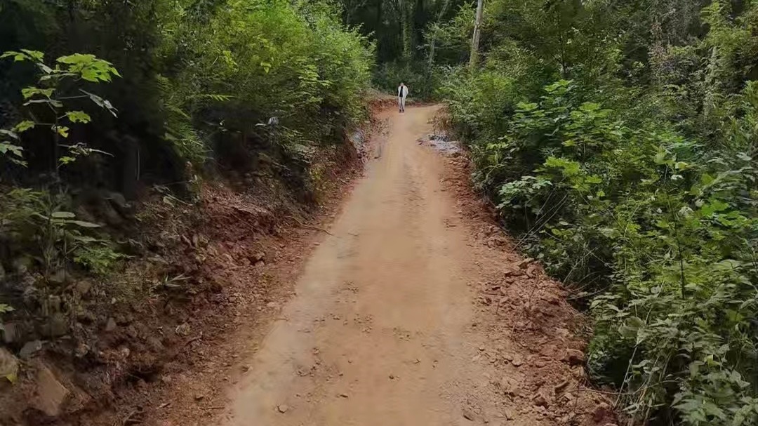 无锡惠山森林公园北坡初级山地车线路分享