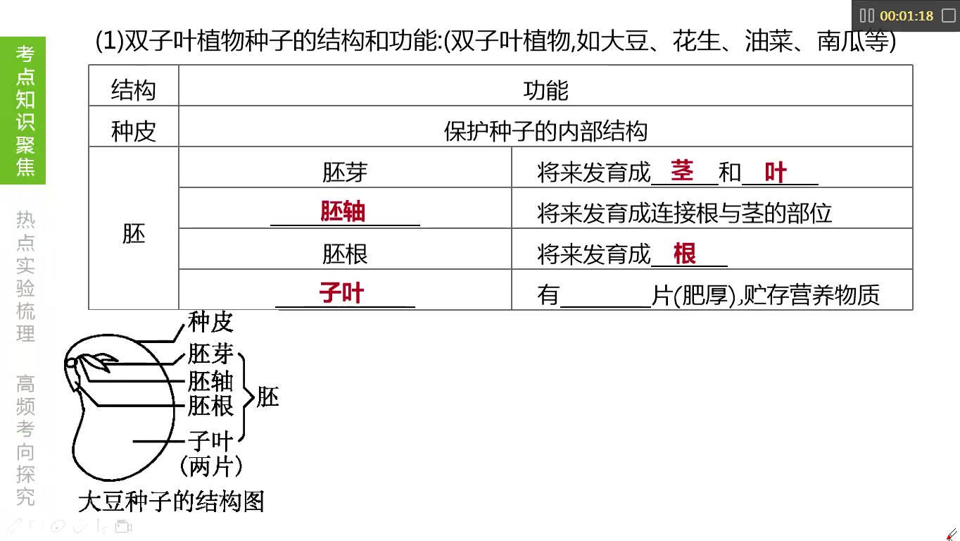 [图]4.被子植物的一生