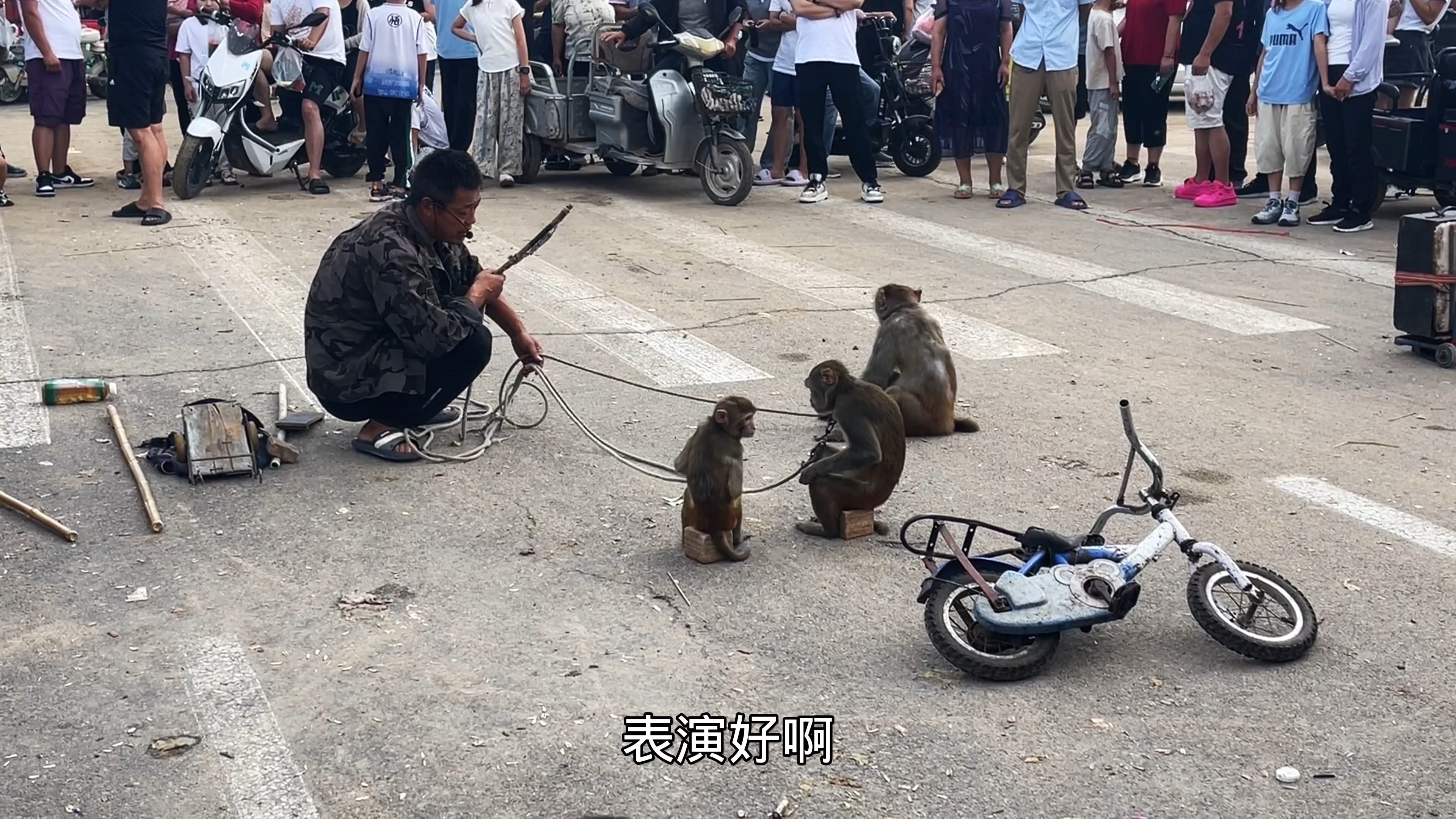 赶大集交流会看耍猴吃烧烤