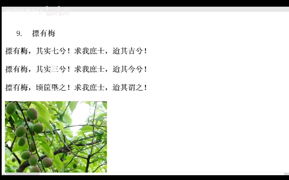 [图]诗经召南9 摽有梅逐字逐句详解