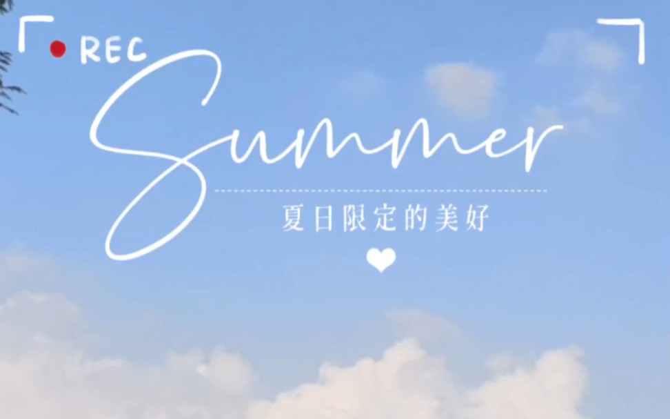 夏日限定的美好