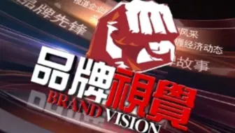 【品牌视觉】设计总监思维提升必看教程，一个好的标志是做副业最简单的方式！