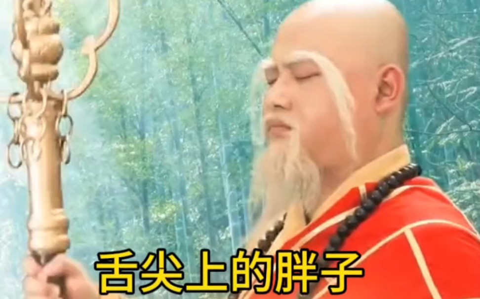 新版白蛇传,小岳岳差点被法海煲汤