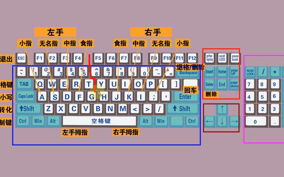 真正零基礎學電腦打字—入門教程