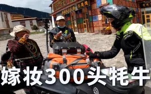 Télécharger la video: 藏族大哥想贴300头牦牛让我娶他妹妹，吓得我骑上摩托车拔腿就跑！