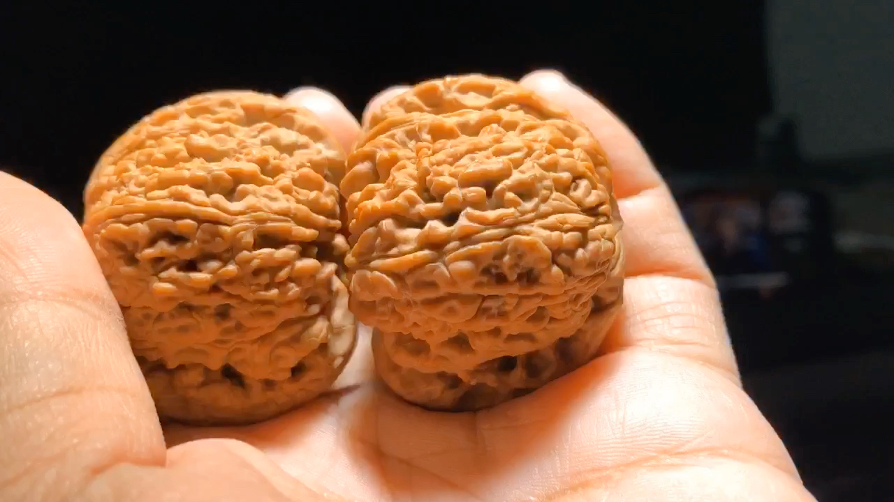 南疆石核桃,41×41极品逐鹿南将石,大肚子蚂蚁纹没有任何毛病