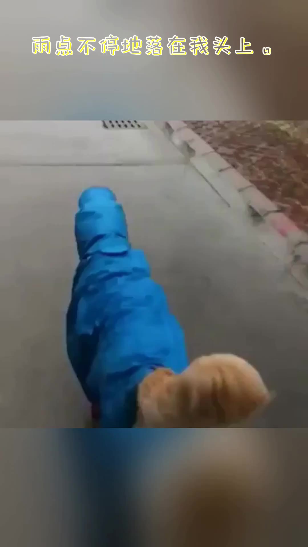 [图]Rain drops keep falling on my head. | 雨点不停地落在我头上。