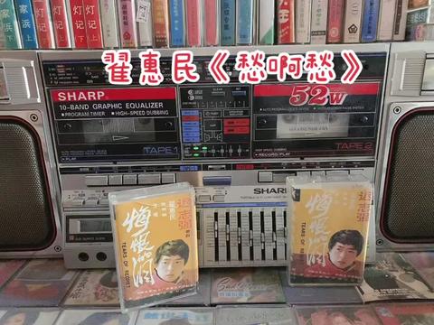 翟惠民《愁啊愁》