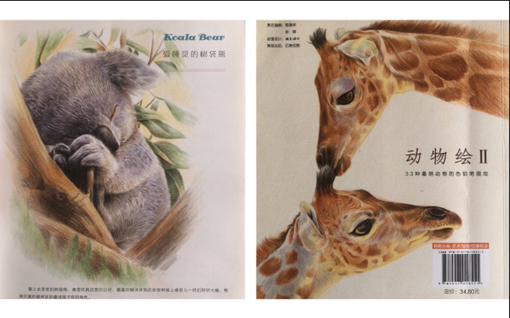 彩铅绝版好书分享-飞乐鸟之动物绘ii