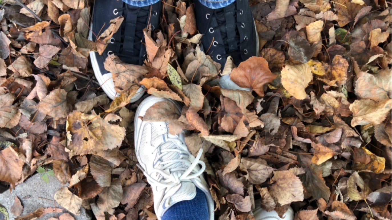 和狐狸一起踩落叶呀