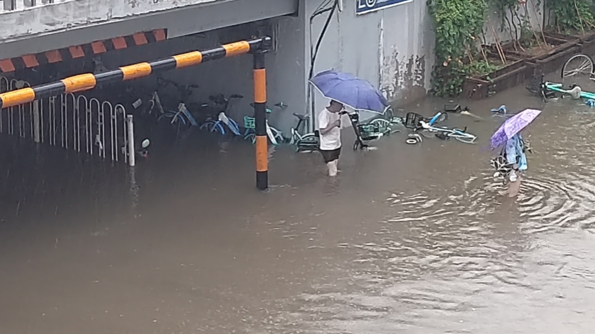 8.9下午北京大雨 海淀区莲花桥现状哔哩哔哩bilibili