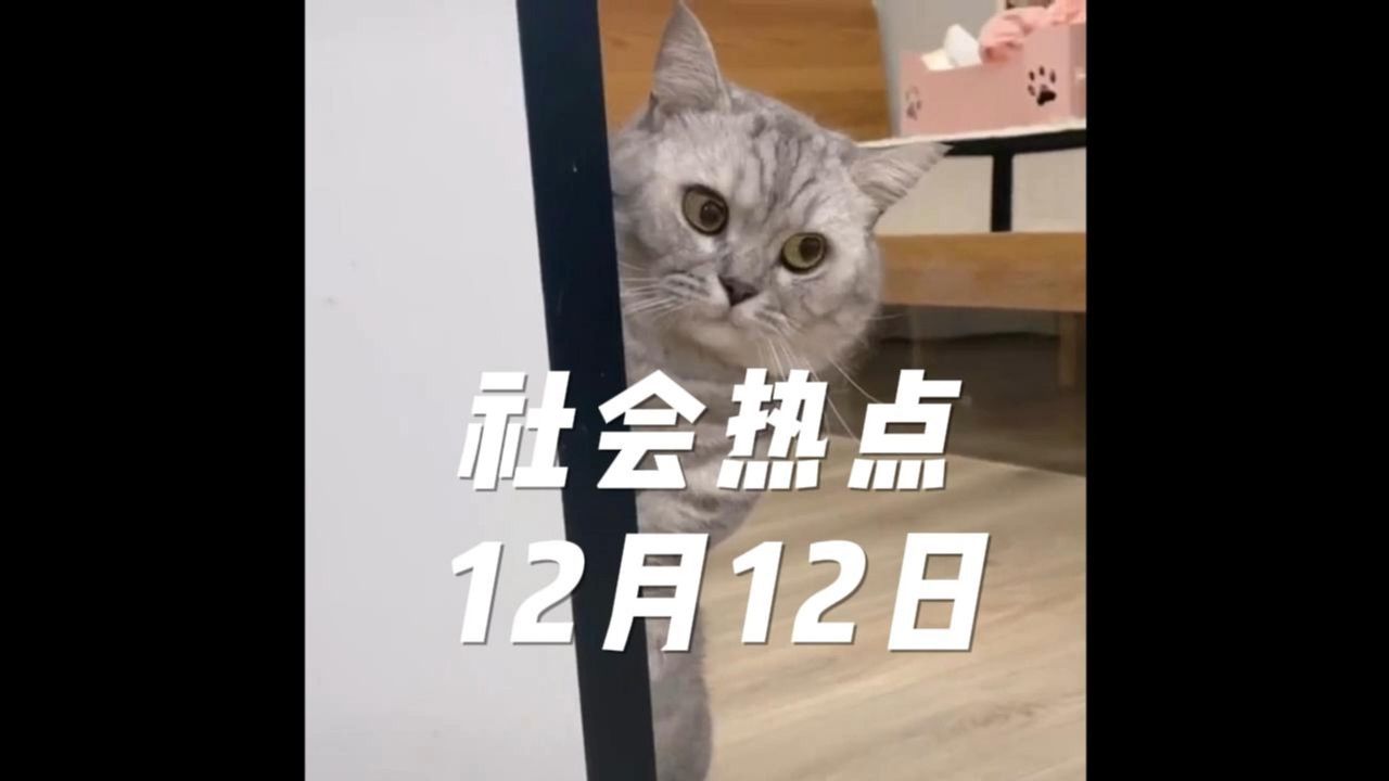 12月12日社会热点信息 | 近期有哪些大事件哔哩哔哩bilibili