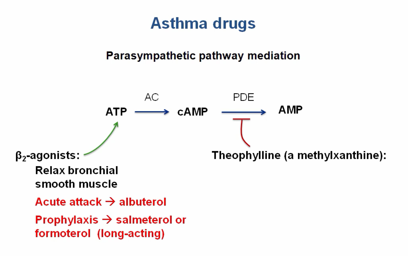 Usmle 呼吸药理/First Aid respiratory pharmacology哔哩哔哩bilibili