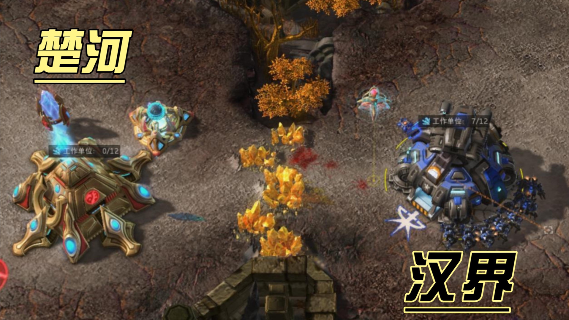 楚河汉界之tvp!(我可是神族啊,你怎么敢这么无礼)