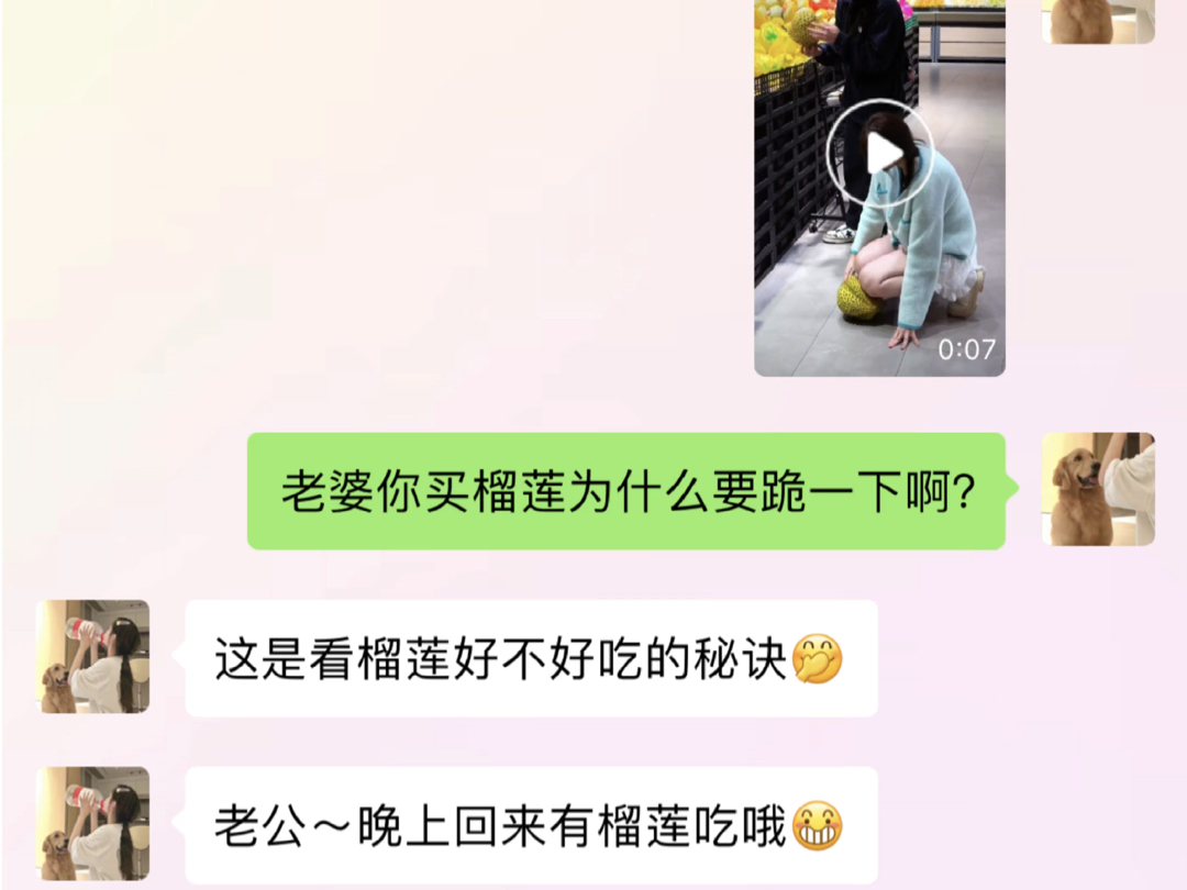 “老婆的谎言”哔哩哔哩bilibili